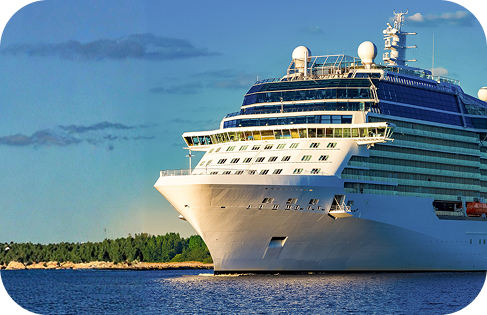 Cruise Wellness Kit